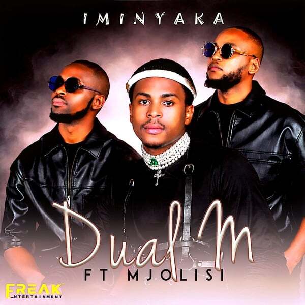 Cover art for Iminyaka